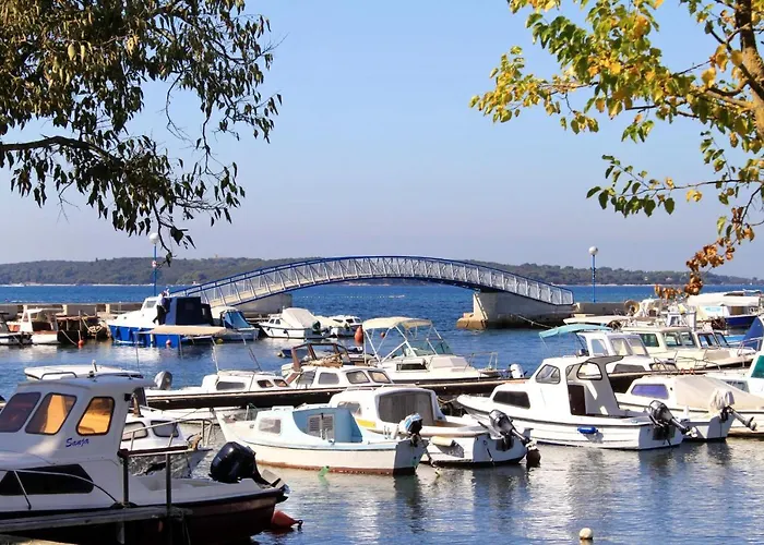 Family-friendly With Swimming Pool Valbandon, Fazana - 2201 아파트 스틴잔